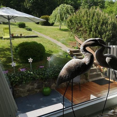 Willa Casa Carlotta - Keine Monteure Langelsheim Zewnętrze zdjęcie