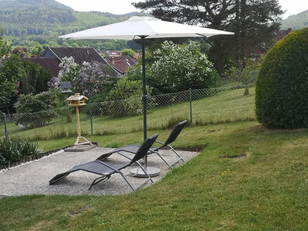 Willa Casa Carlotta - Keine Monteure Langelsheim Zewnętrze zdjęcie